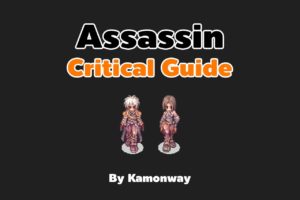 Ragnarok Assassin Critical Guide