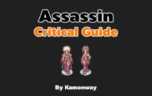 Ragnarok Assassin Critical Guide