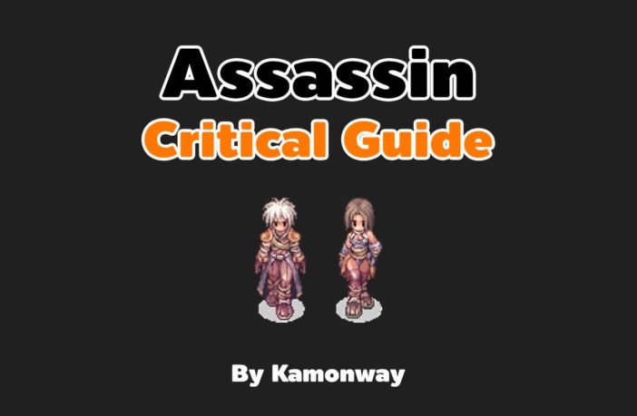 Ragnarok Assassin Critical Guide