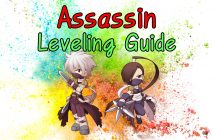 Ro Assassin Leveling Guide