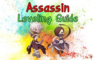 Ro Assassin Leveling Guide