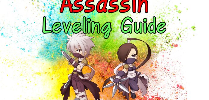Ro Assassin Leveling Guide